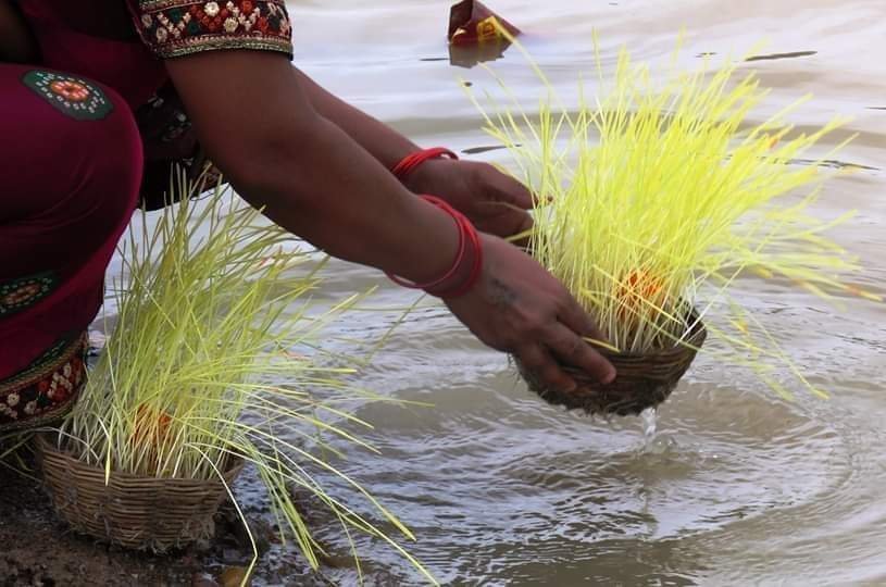 bhojali।भोजली : प्रकृति संरक्षण का पर्व